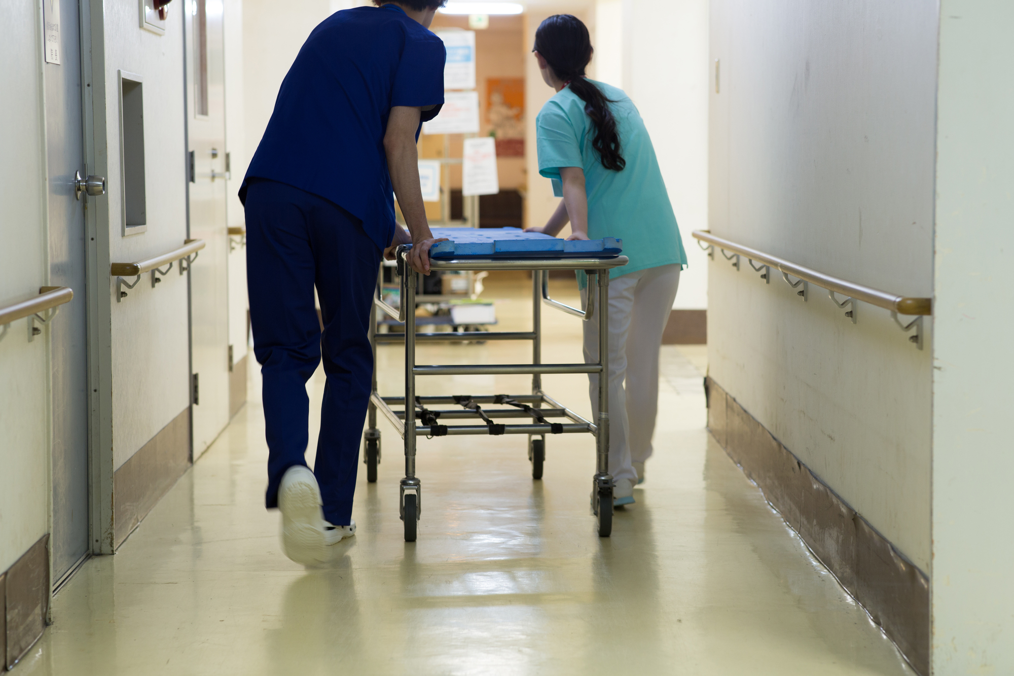 看護助手はどんな仕事? 資格は必要?求められる能力や向いている人も紹介_2