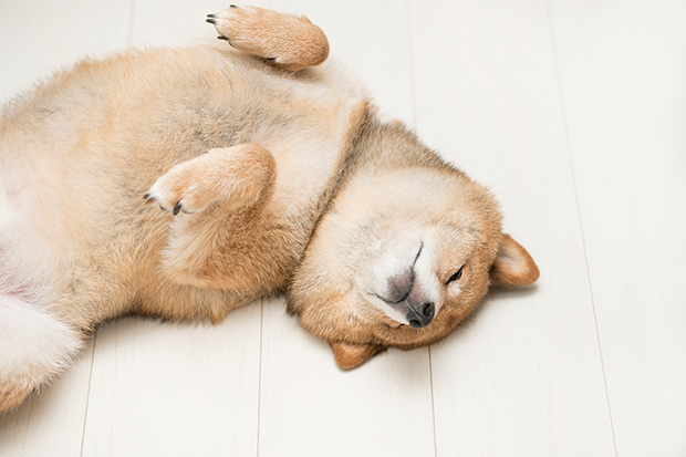 職場の人間関係を左右するマウンティング女子たちの実態!その心理と攻略法_4_4