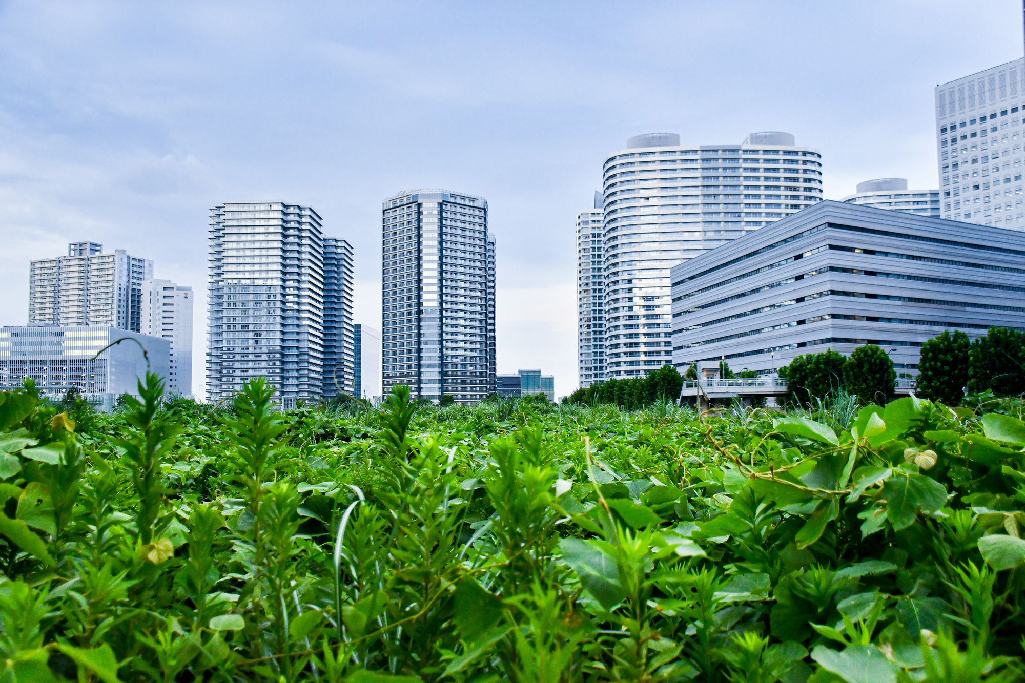 今注目のSDGsとは? 企業のメリットや注意点、取り組み事例を紹介_3