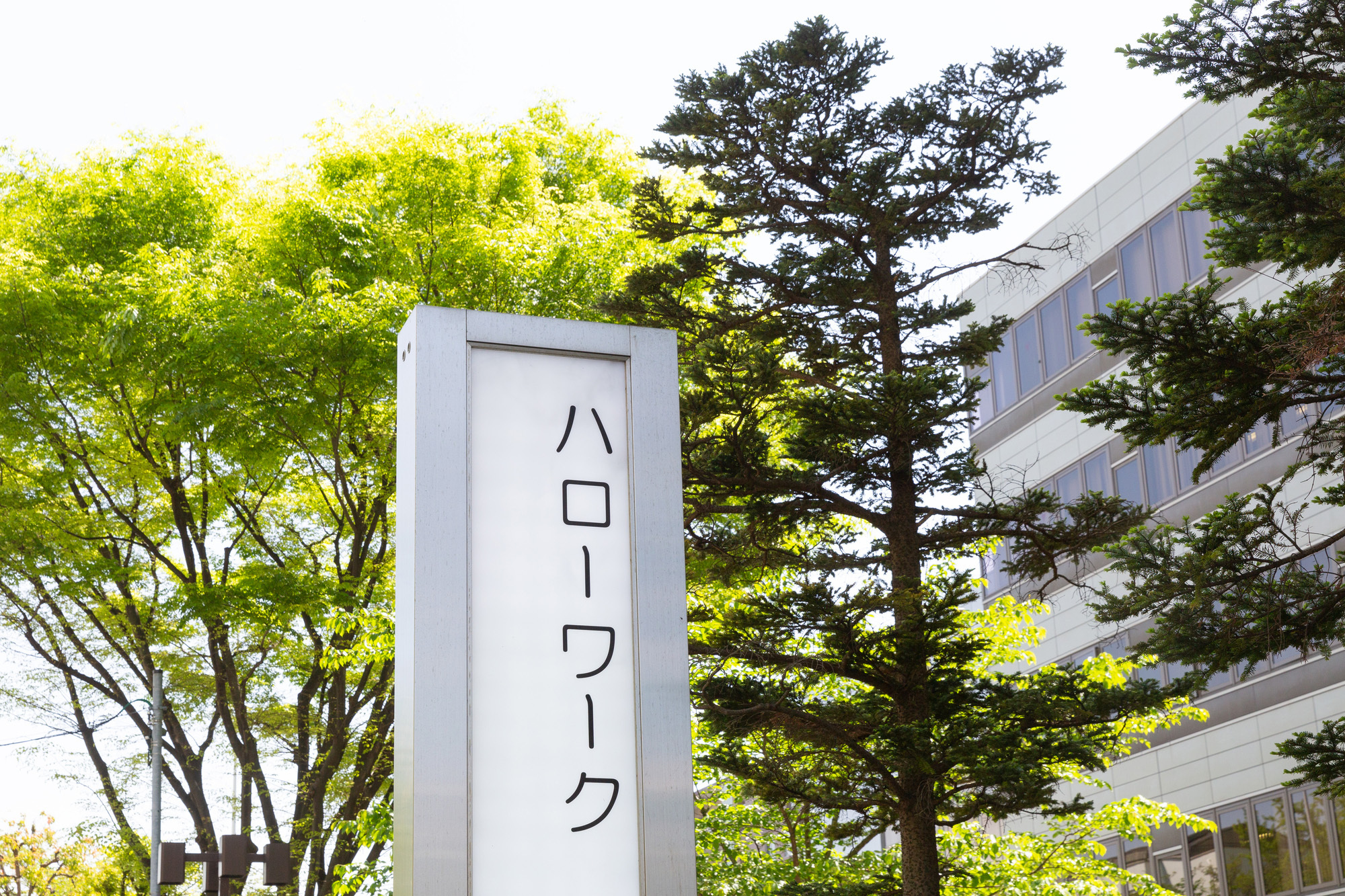 人材採用で使える助成金・補助金とは? 代表的な種類や申請の方法、条件を解説_3